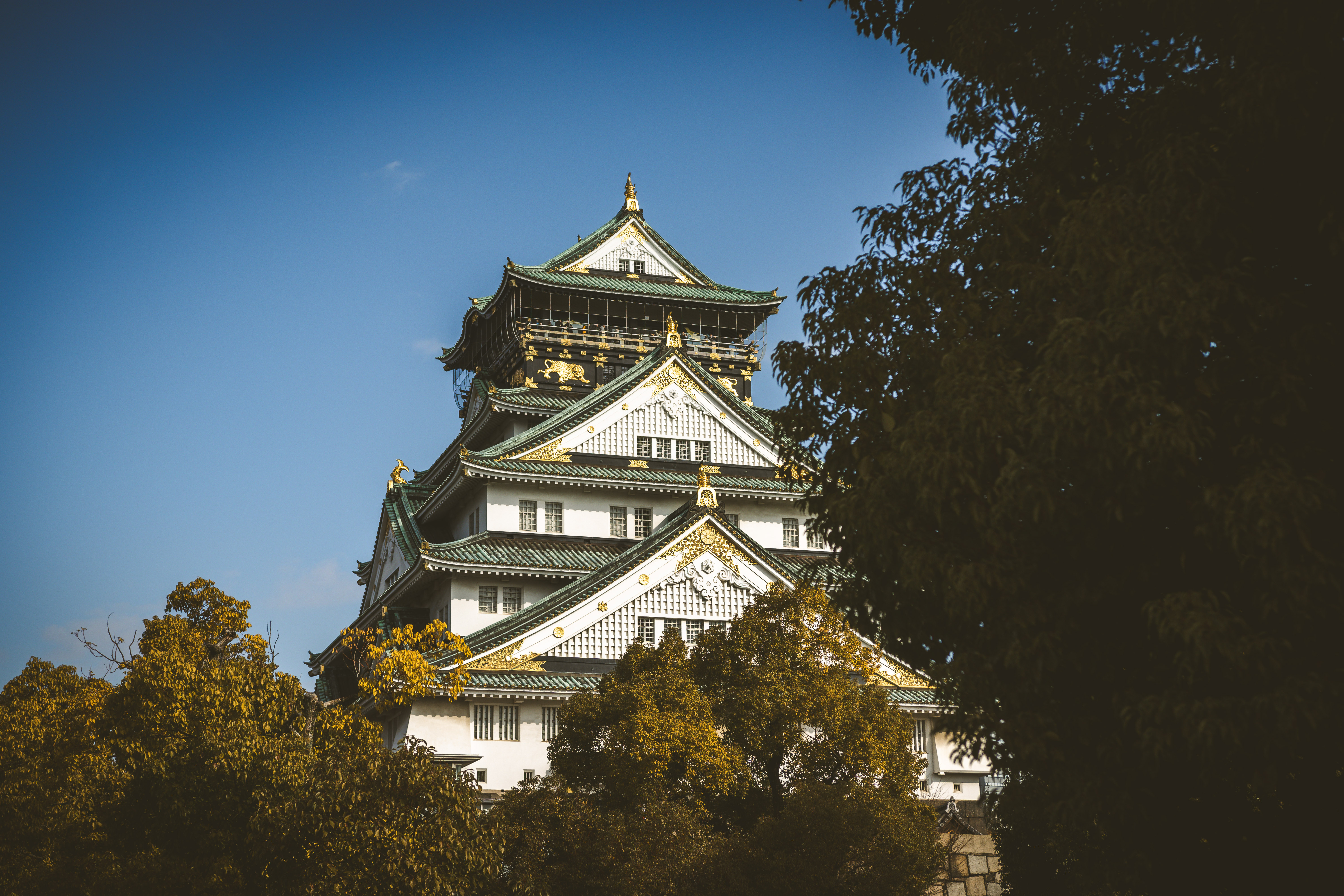 Cosa Vedere a Osaka: Castello e Dotonbori